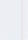 Ringbucheinlagen Brunnen A4 100 Blatt liniert, Art.-Nr. 1066840-12RM - Paterno B2B-Shop