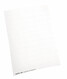 Blanko-Schildchen Leitz 1900 weiss, Art.-Nr. 1900-00-01 - Paterno B2B-Shop