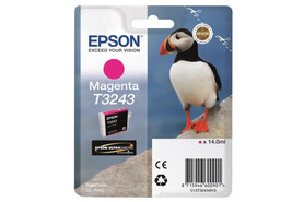 Epson Ink mag. T3243, Art.-Nr. C13T32434010 - Paterno B2B-Shop