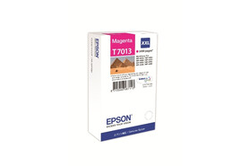 Epson Ink mag. T7013 XXL, Art.-Nr. C13T70134010 - Paterno B2B-Shop