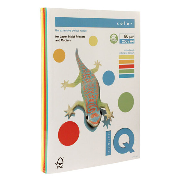 Kopierpapier IQ Color A4 80 gr. intensivfarben sort., Art.-Nr. IQC480-I-RB - Paterno B2B-Shop