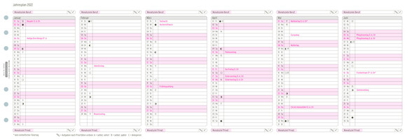 Kalendereinlage Chronoplan Jahresplan Midi, Art.-Nr. 5050J - Paterno B2B-Shop