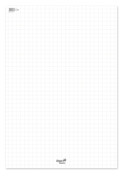 Flipchartpapier 68x99cm 20 Blatt 80g/qm kariert, Art.-Nr. 036441 - Paterno B2B-Shop