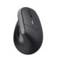 Maus Trust BAYO II Ergonomic Wireless, Art.-Nr. 22126 - Paterno B2B-Shop