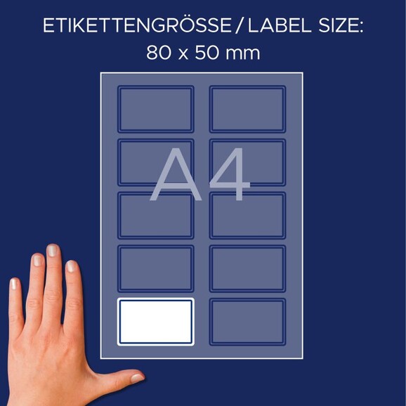 Namensetiketten ZWF 80 x 50 mm mit Rand blau, Art.-Nr. L4787-20 - Paterno B2B-Shop