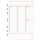 Kalendereinlage Chronoplan Wochenplan A5, Art.-Nr. 5023J - Paterno B2B-Shop