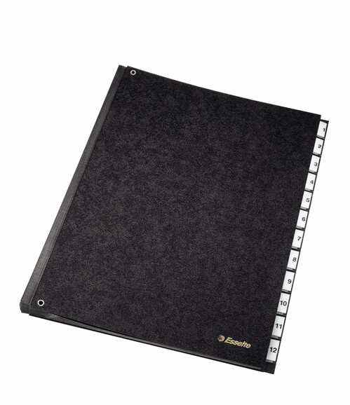 Pultordner Esselte 1-12 schwarz, Art.-Nr. 1114219 - Paterno B2B-Shop